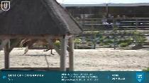 Miniature vidéo