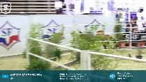 Miniature vidéo