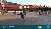 Miniature vidéo