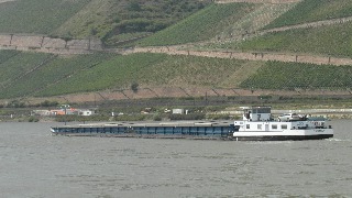 cjwgm84670qip0199al6tjh3p