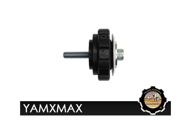 Kaoko YAMXMAX Cruisecontrol