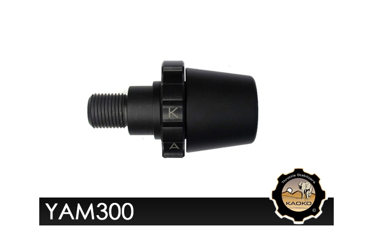Kaoko YAM300 Cruisecontrol