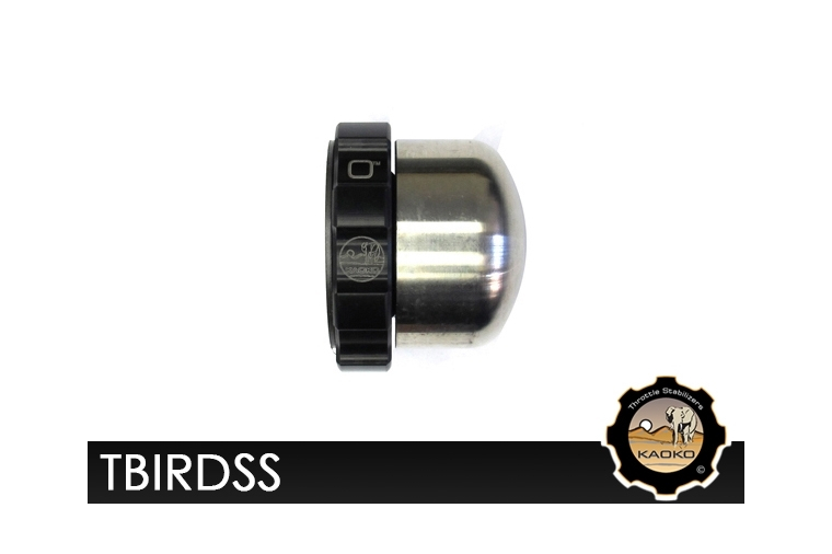 Kaoko TBIRDSS Cruisecontrol