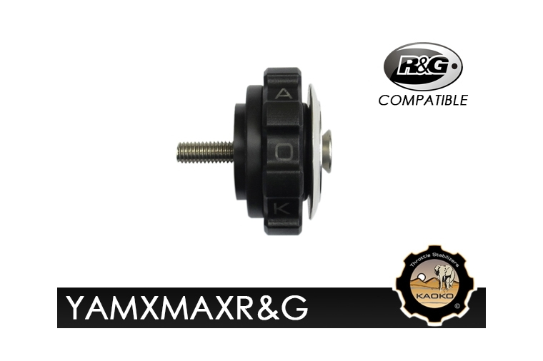 Kaoko YAMXMAXR&G Cruisecontrol