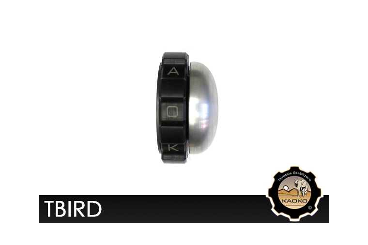 Kaoko TBIRD Cruisecontrol