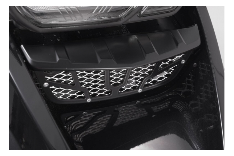 SW-Motech Olie radiateur beschermer BMW R 1200 Gs ('09-)