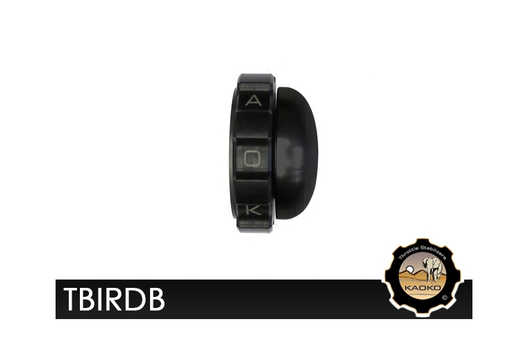 Kaoko TBIRDB Cruisecontrol