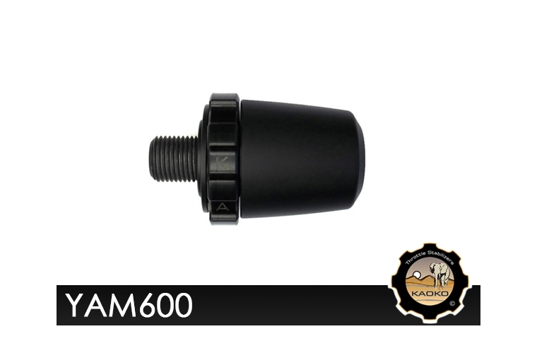 Kaoko YAM600 Cruisecontrol