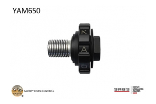 Kaoko YAM650 Cruisecontrol