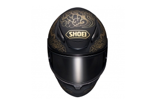 Shoei NXR2 Fearless TC-5