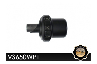 Kaoko VS650WPT Cruisecontrol