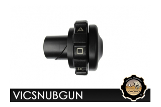 Kaoko VICSNUBGUN Cruisecontrol