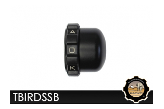 Kaoko TBIRDSSB Cruisecontrol