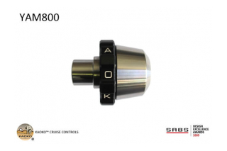 Kaoko YAM800 Cruisecontrol