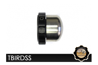 Kaoko TBIRDSS Cruisecontrol