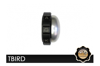 Kaoko TBIRD Cruisecontrol