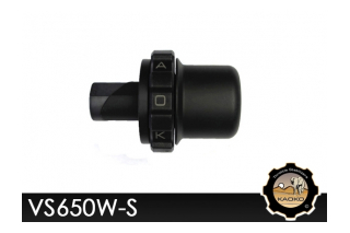 Kaoko VS650W-S Cruisecontrol