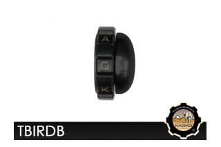 Kaoko TBIRDB Cruisecontrol