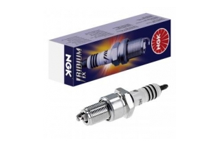 BCPR6EIX-11P FIXED OLIVE