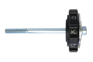 Kaoko VESP Cruisecontrol