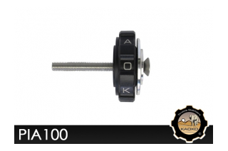 Kaoko PIA100 Cruisecontrol