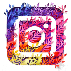 Mixedwebtr Instagram Hizmetleri