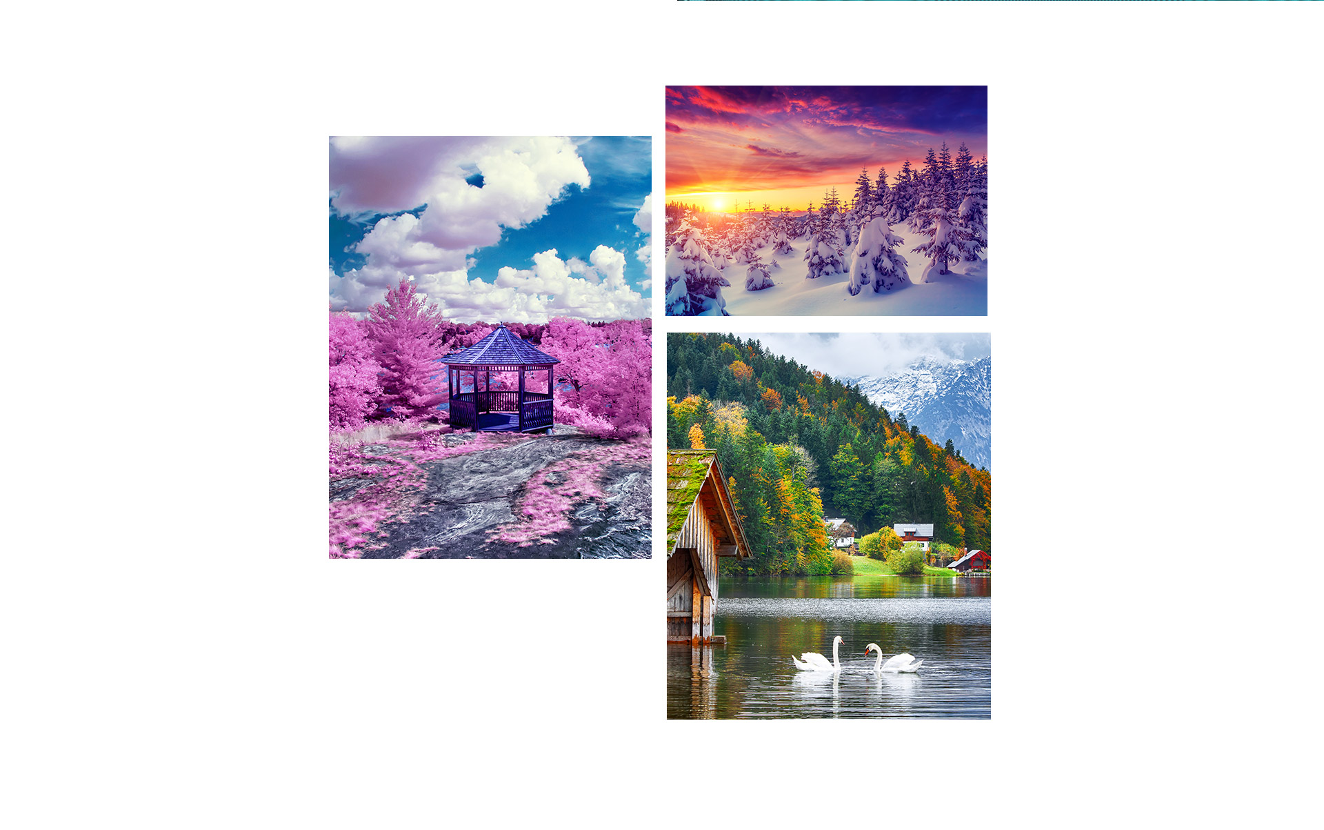 AI Scene Recognition