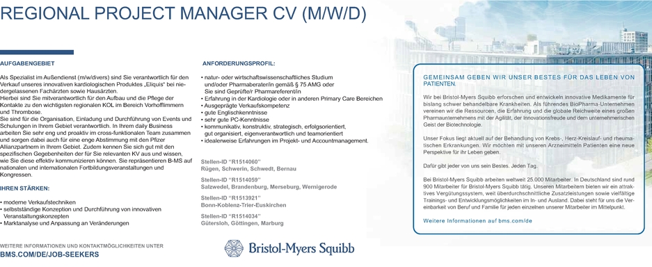 Regional Project Manager Cv Mwd In München