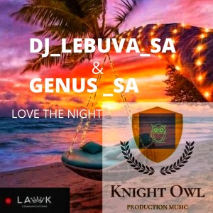 Love The Night (Rocking Me Tonight)