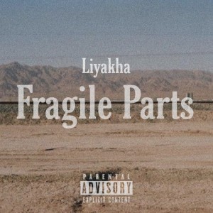 Fragile Parts