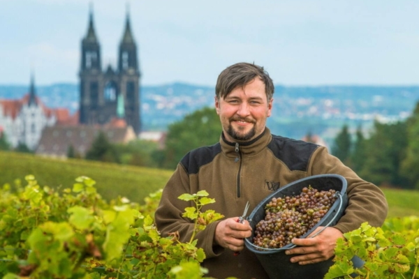 AGI2 N4 HOD7 JRK2 RD4 T7 PNAUJUQ