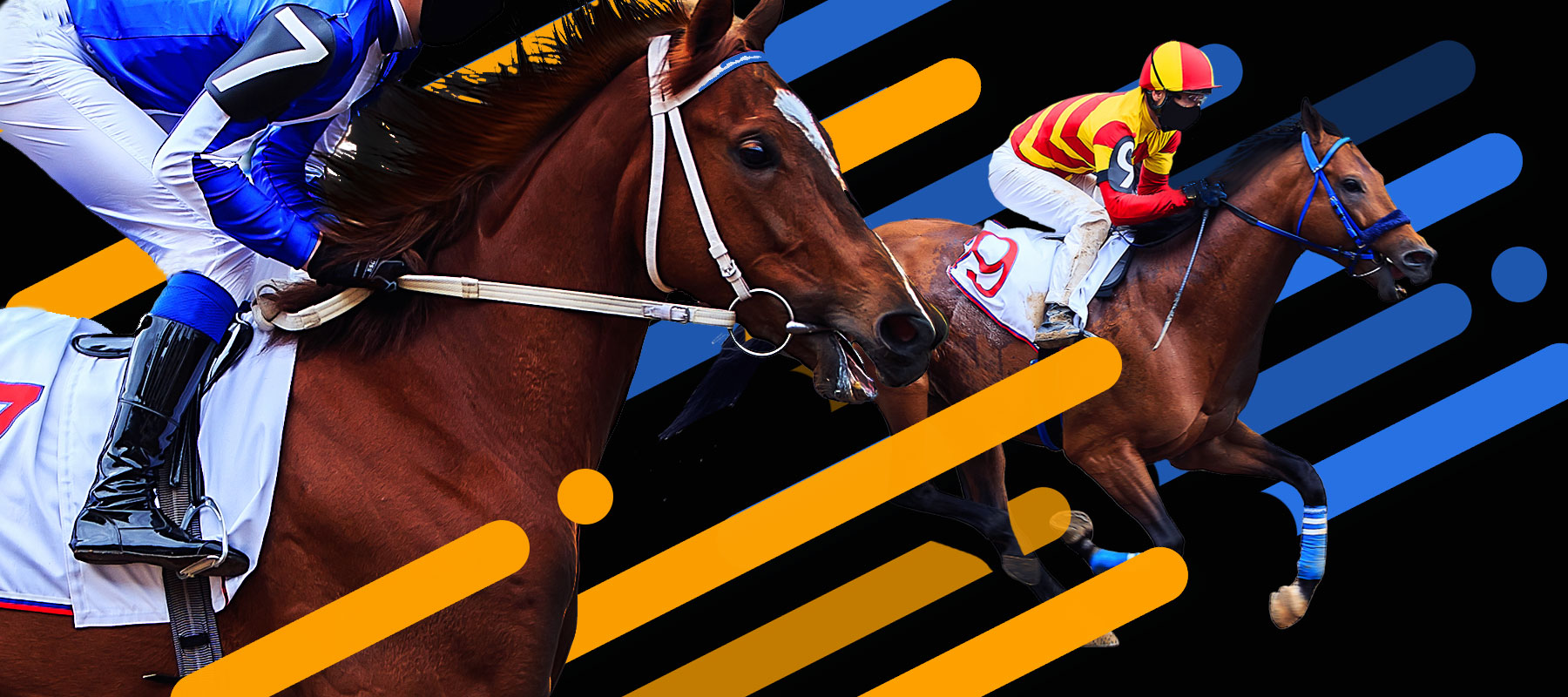 Royal Ascot 2nd place Refund! Sportsbet.io