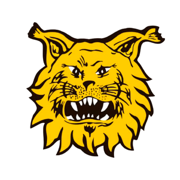 Ilves Ry logo