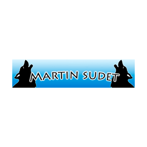 Martin Sudet Ry logo