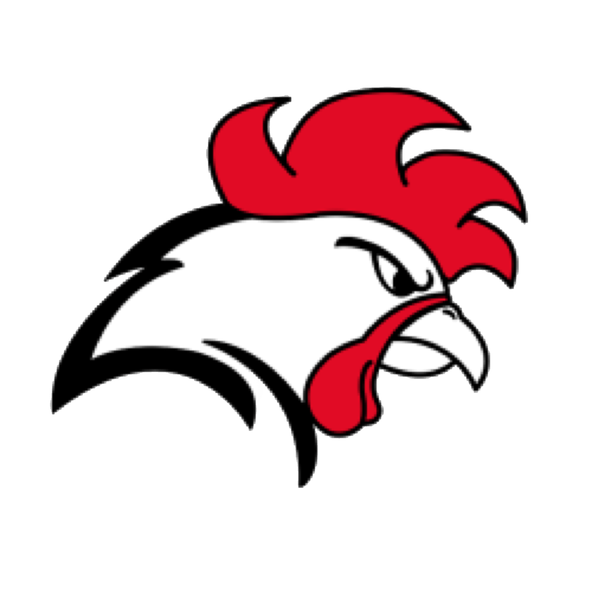 Roosters Ry logo
