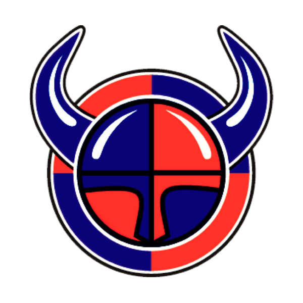 Viikingit jääkiekko Ry logo
