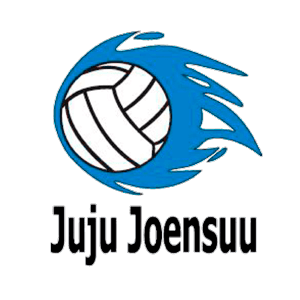 Joensuun Juju Ry logo