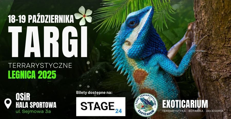 EXOTICARIUM Targi Terrarystyczne Legnica | 18-19 października 18.10.2025 bilety
