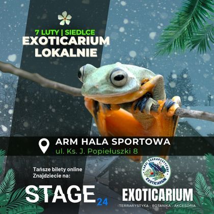 EXOTICARIUM LOKALNIE Targi Terrarystyczne SIEDLCE | 7.02