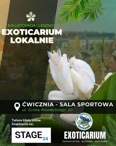 EXOTICARIUM LOKALNIE Targi Terrarystyczne Leszno | 8-9.11 Exoticarium 08.11.2025 bilety