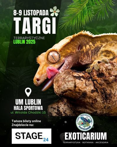  EXOTICARIUM Targi Terrarystyczne Lublin | 8-9.11 Exoticarium 08.11.2025 bilety