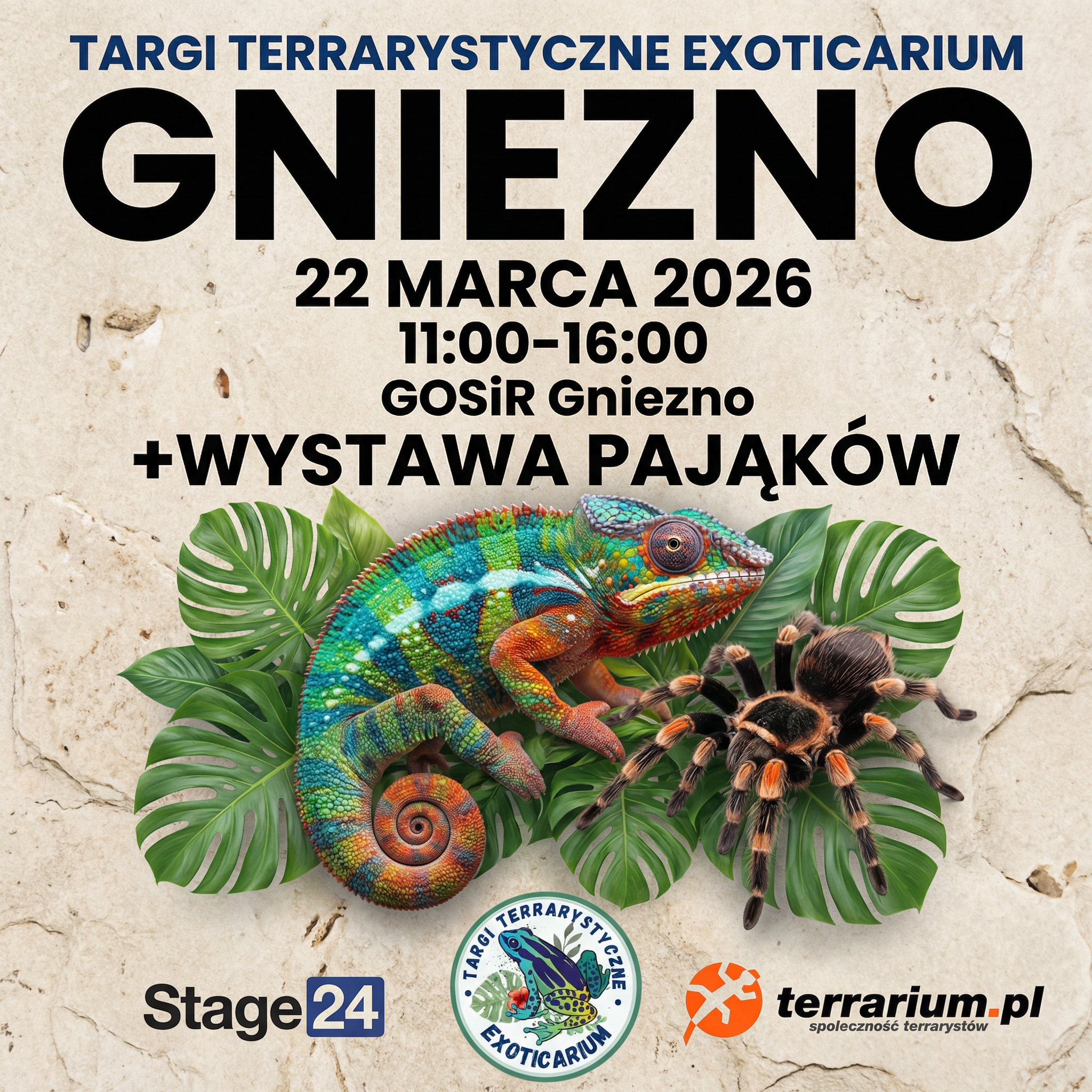 Gniezno - Targi Terrarystyczne Exoticarium + Wystawa Pająków