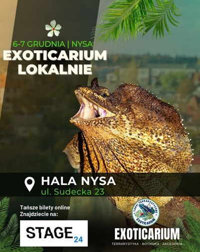 EXOTICARIUM LOKALNIE Targi Terrarystyczne Nysa | 6-7.12 Exoticarium 06.12.2025 bilety