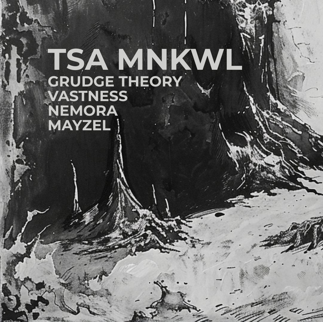 TSA/ GRUDGE THEORY/ VASTNESS/ NEMORA/ MAYZEL/ PIĄTY DOM KATOWICE