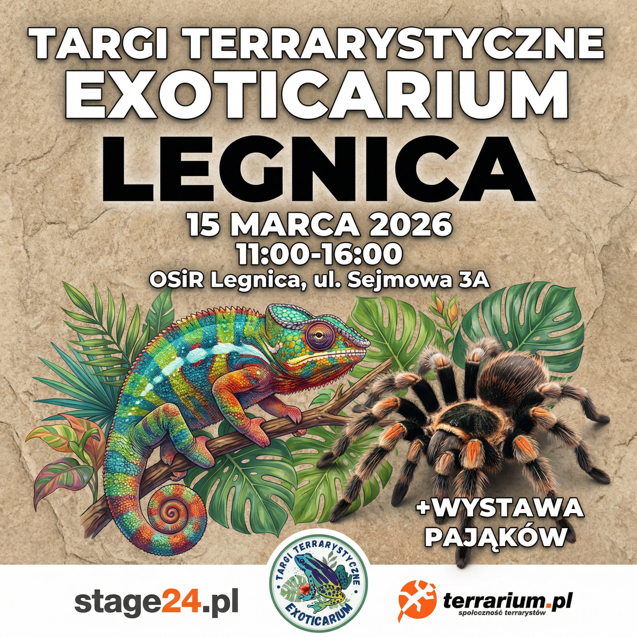 Legnica - Targi Terrarystyczne Exoticarium + Wystawa Pająków