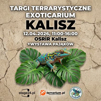 Exoticarium - Targi Terrarystyczne w Kaliszu! + Wystawa Pająków