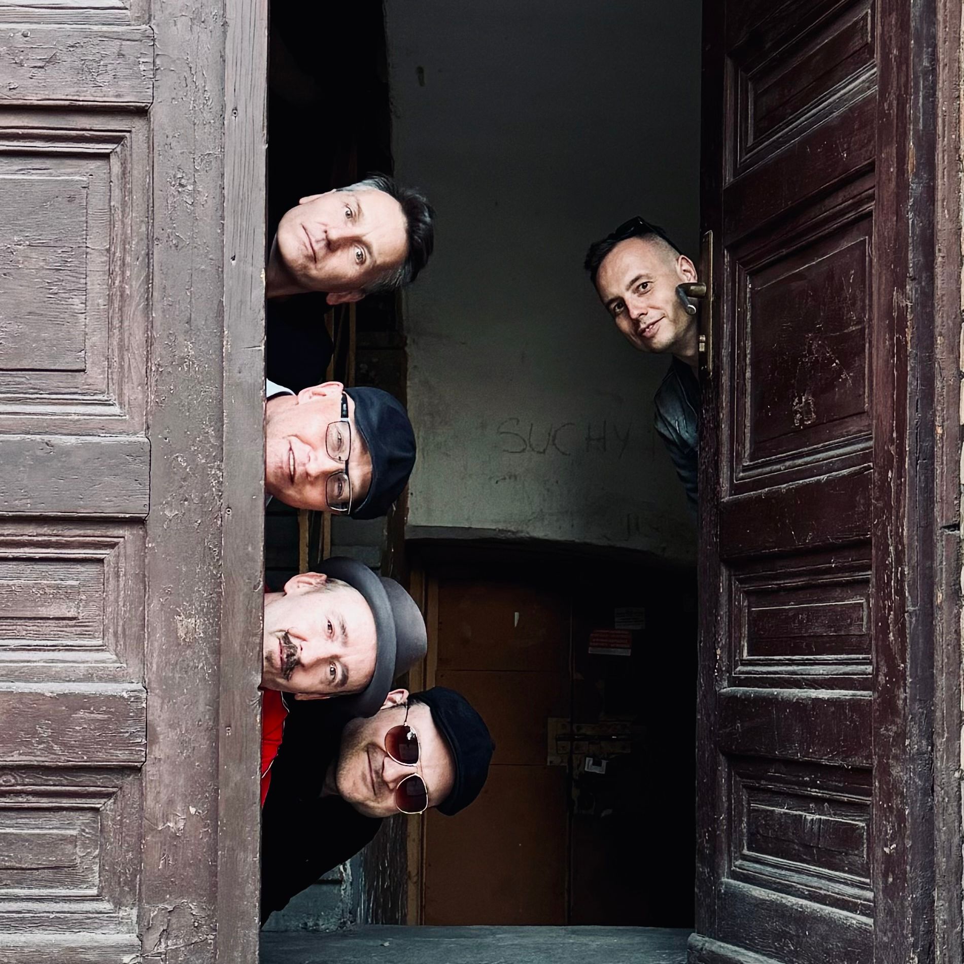 Cotton wing | Koncert