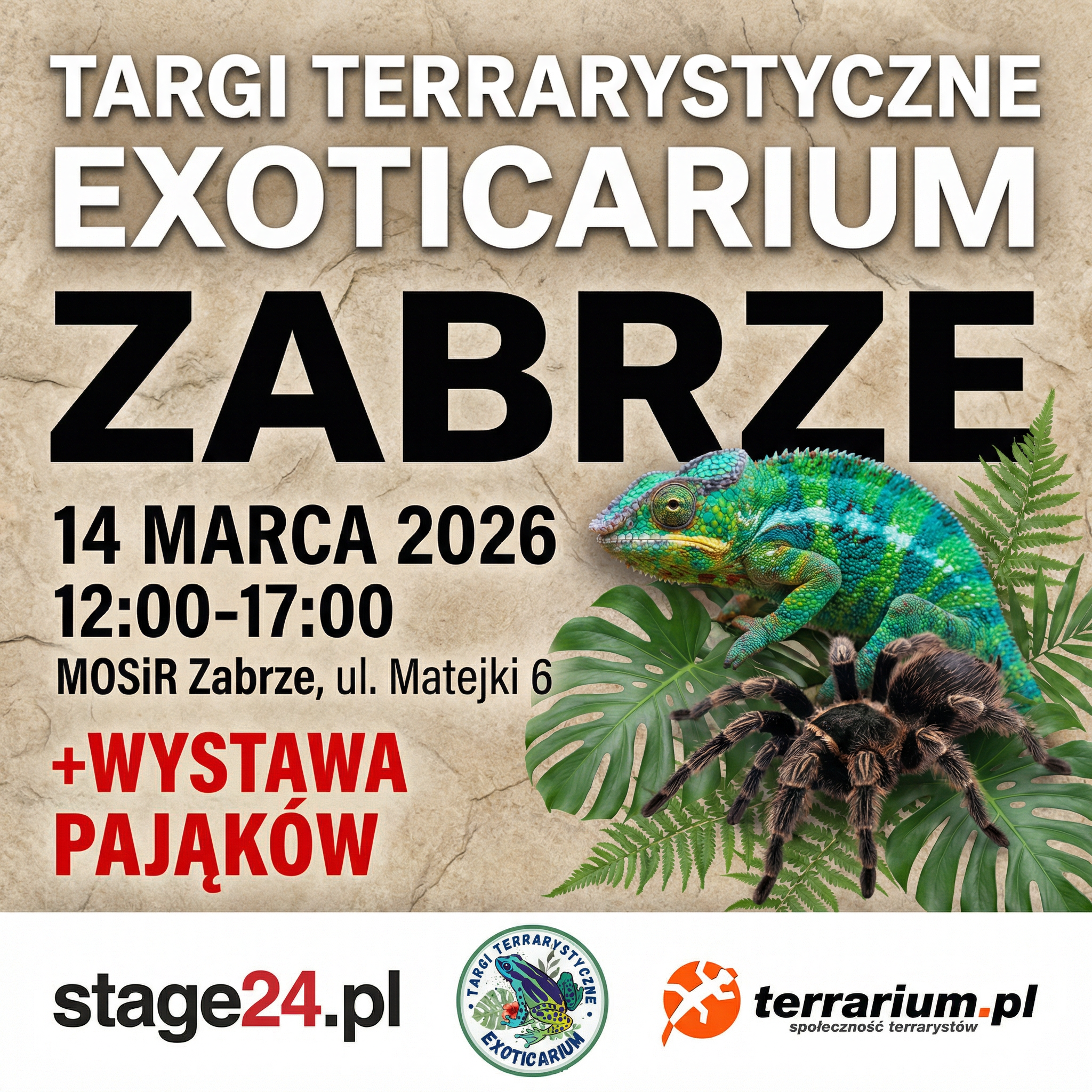 Zabrze - Targi Terrarystyczne Exoticarium + Wystawa Pająków