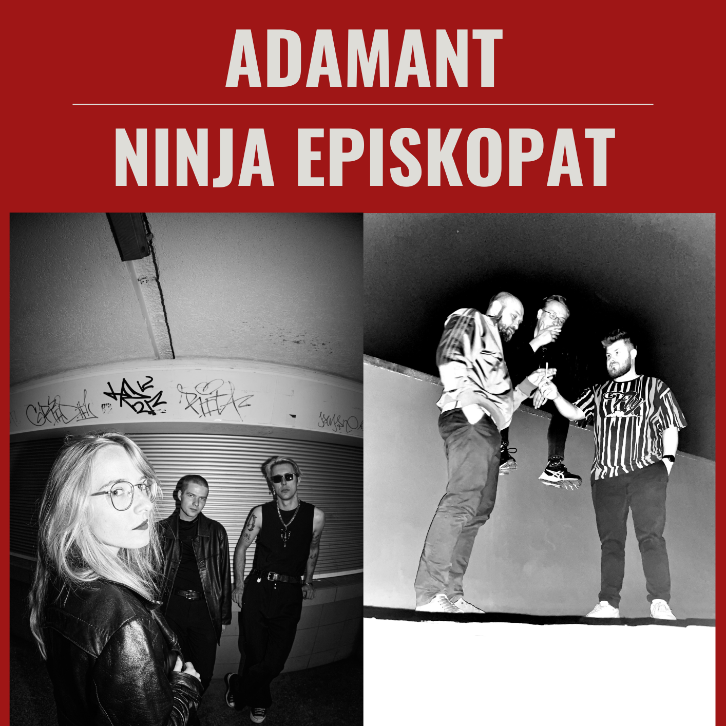 Ninja Episkopat / Adamant / Kraków / Betel