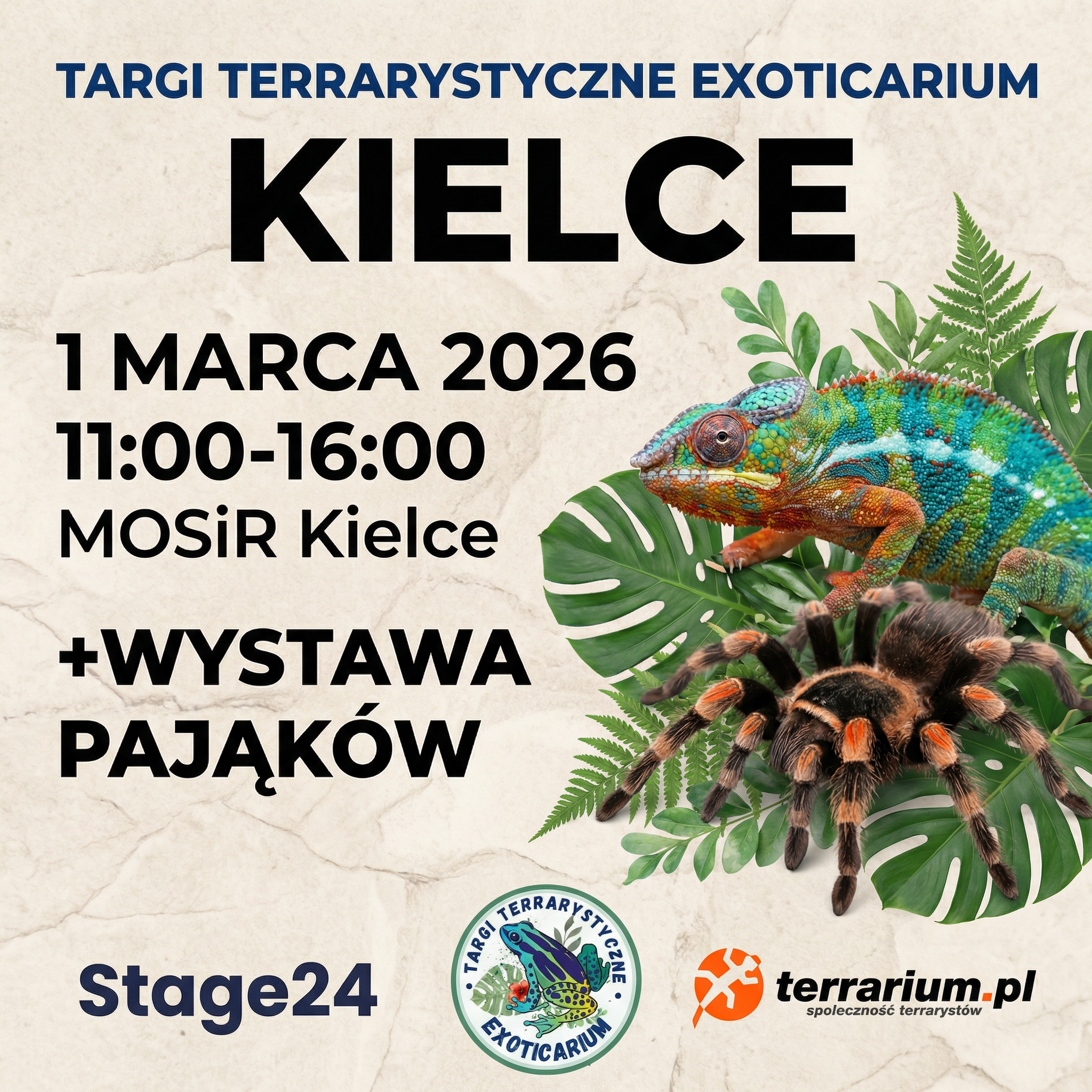 Kielce - Targi Terrarystyczne Exoticarium + Wystawa Pająków